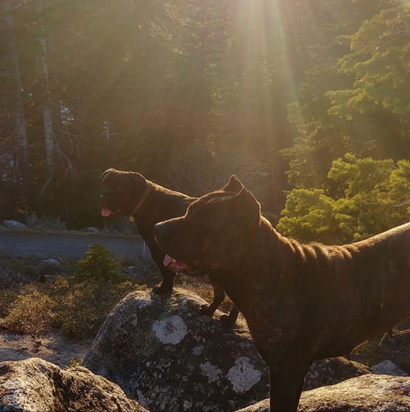 Meet your Posher, Chris - Picture 4 of 6